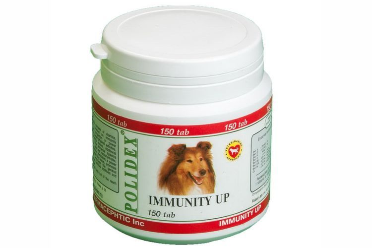 Inmuniti Ap