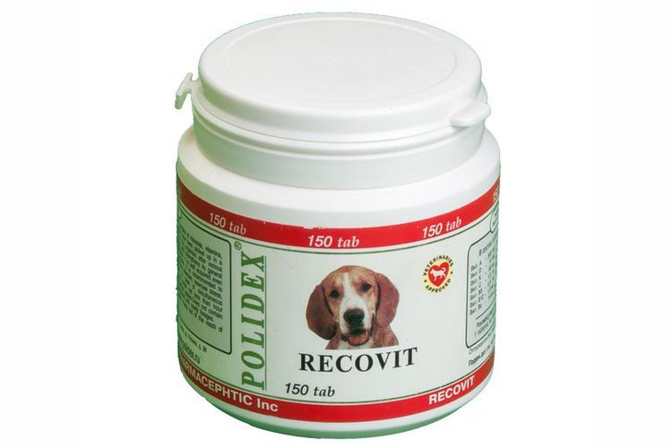 Recovit Plus