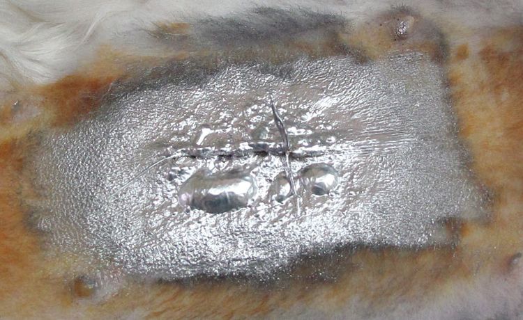 Tratamiento de la sutura con spray Aluminio