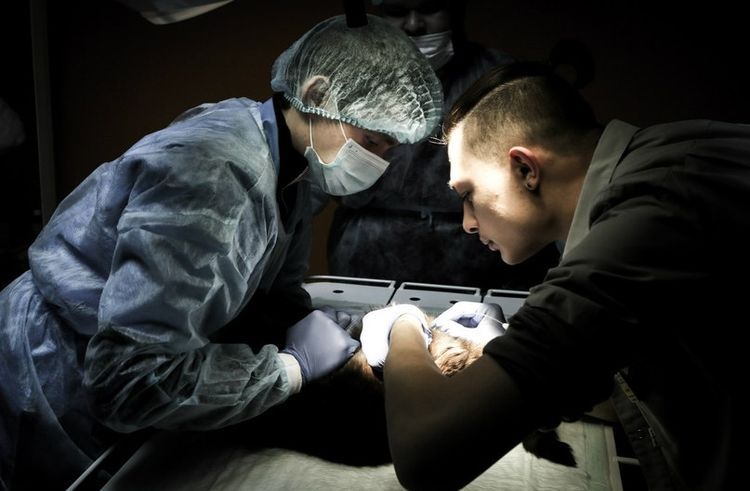 Esterilización de la perra