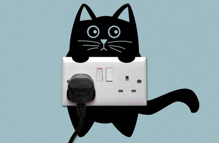 Estarcido de gatos para decoración