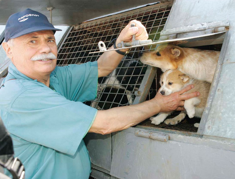 Sulimov con cachorros de shalayka
