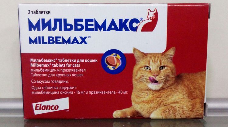 Milbemaks para gatos