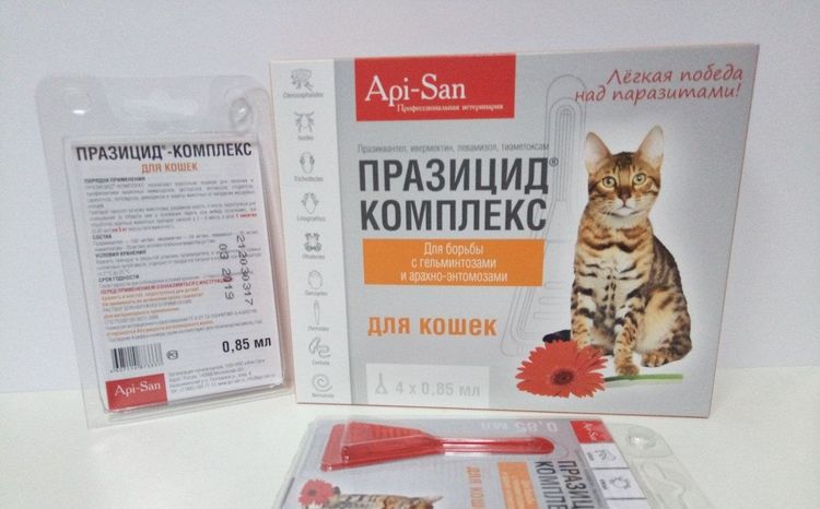Prazicid para gatos