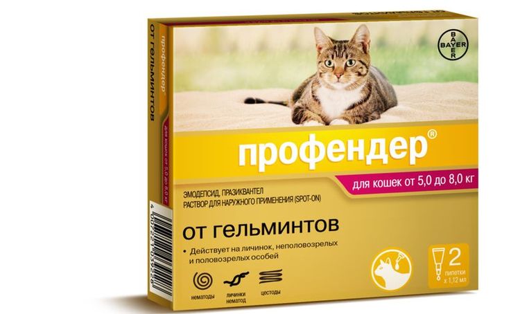 Profender para gatos