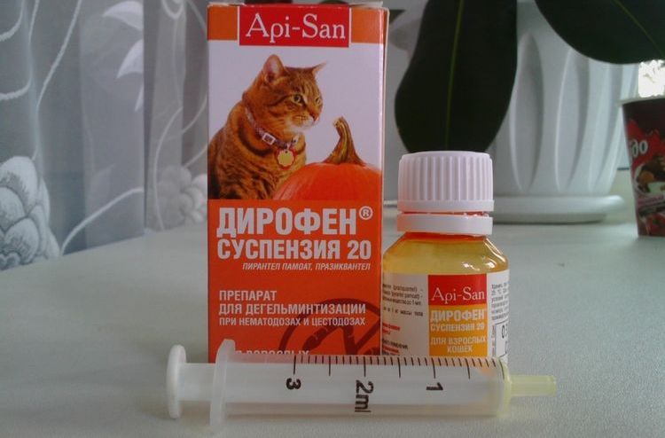 Dirofen para gatos