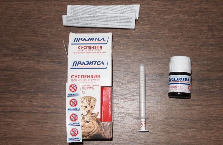 Prazitel para gatos