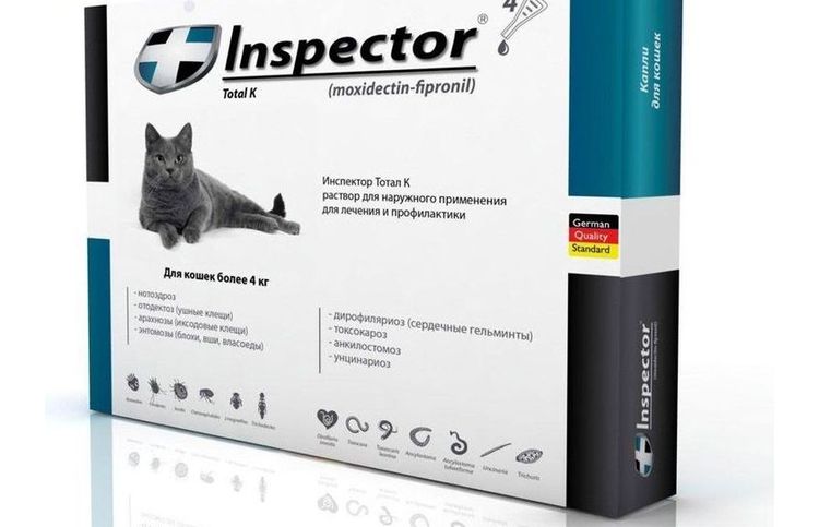Inspector para gatos