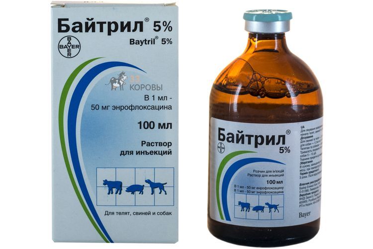 Baytril para perros
