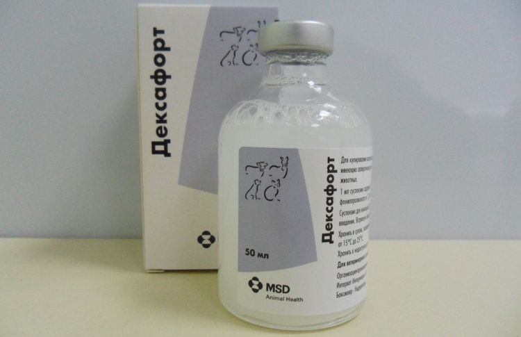 Dexafort para perros