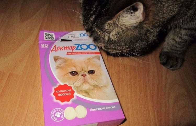 El gato come las vitaminas Doctor Zoo
