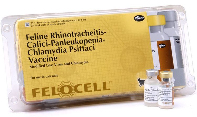 Felocel - vacuna para gatos