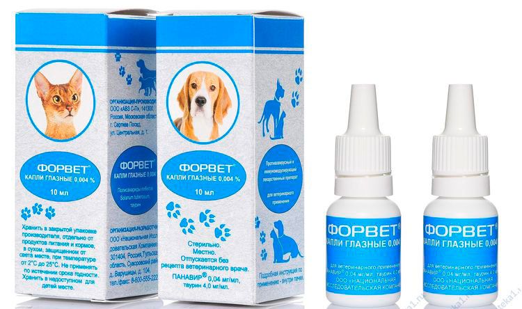 Gotas Forvet para perros