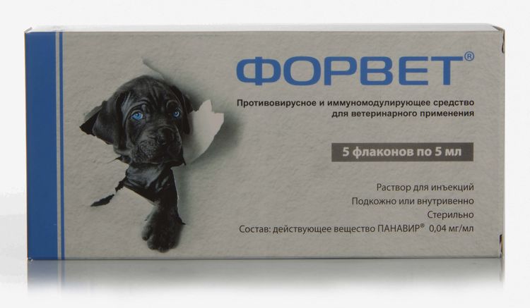 Forvet para perros