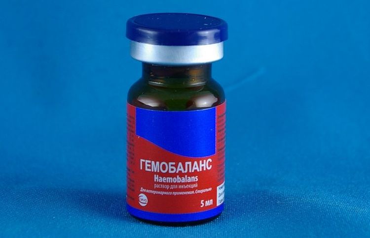 Hemobalance para perros