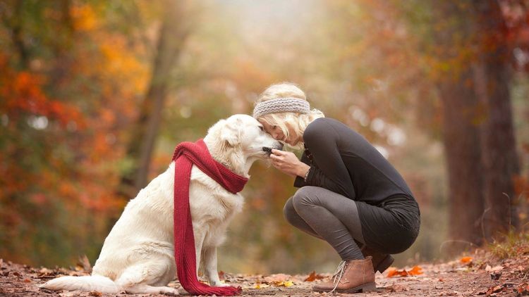Chica y perro