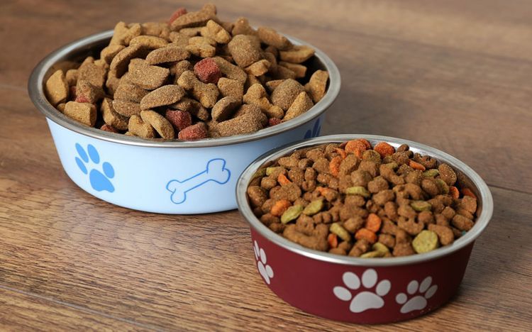 Alimento seco para perros