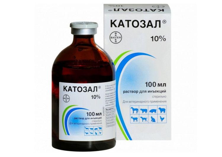 Catosal para perros