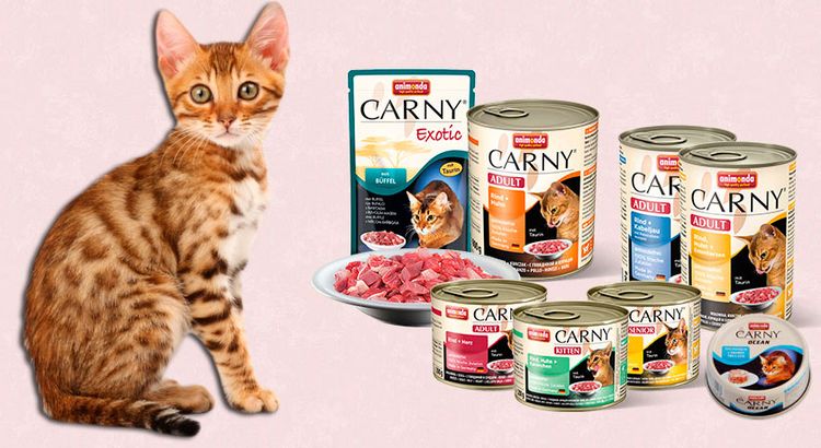 Alimento Animonda (Animonda) para gatos