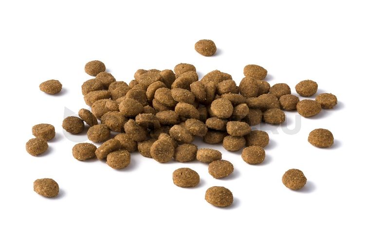 Alimento seco para gatos con urolitiasis
