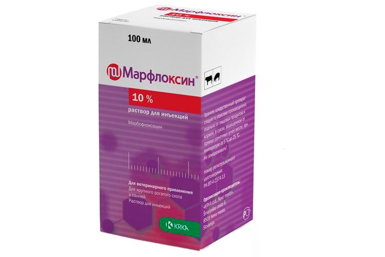 Marfloxin für Hunde