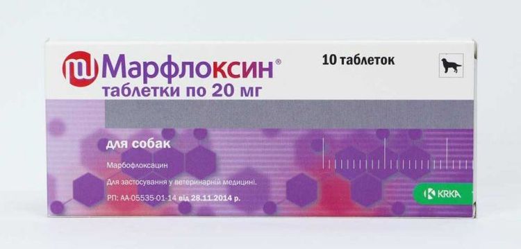Marfloxin für Hunde