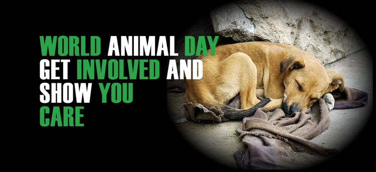 Día Internacional de la Protección de los Animales