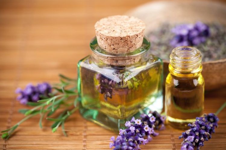 Lavanda contra las pulgas en gatos