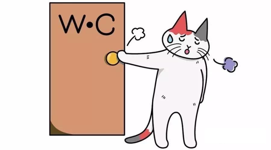 Diarrea en el gato: ¿qué hacer?