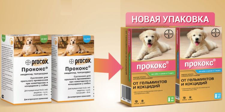 Procoks para perros