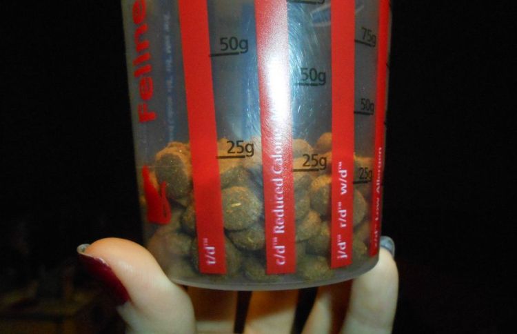 Vaso medidor para alimento