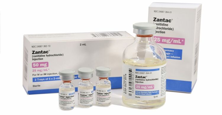 Zantac para perros