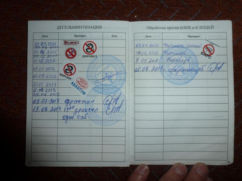 Pasaporte veterinario