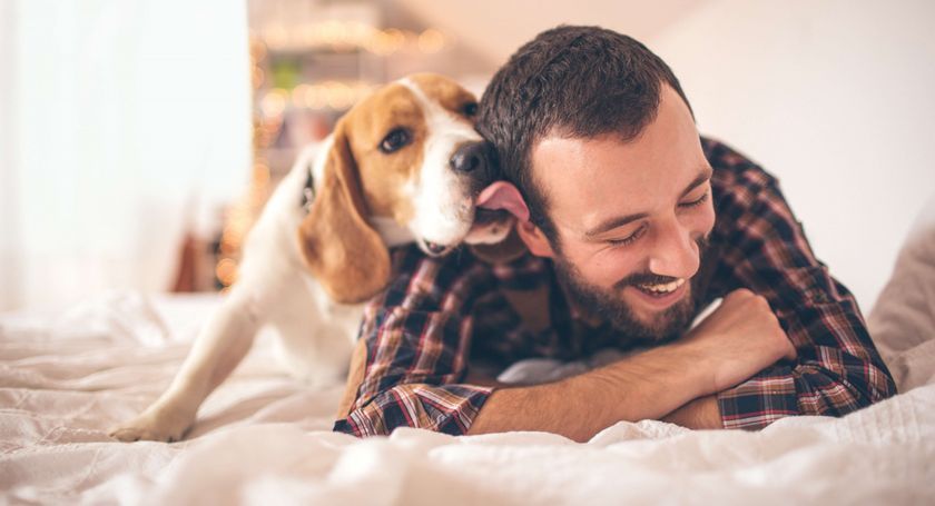 El perro y el ser humano