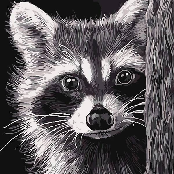 kak-narisovat-enota-6-4 Dibujo de mapache en un árbol