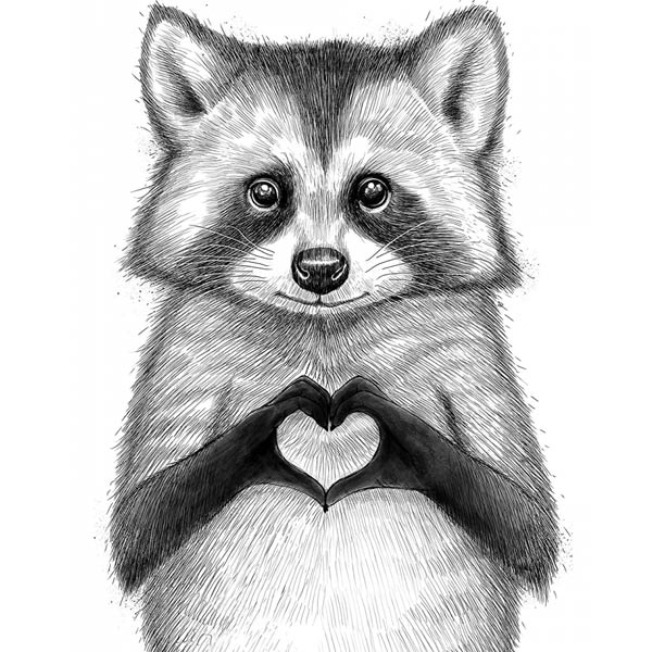 kak-narisovat-enota-6-8 Dibujo de mapache y corazón