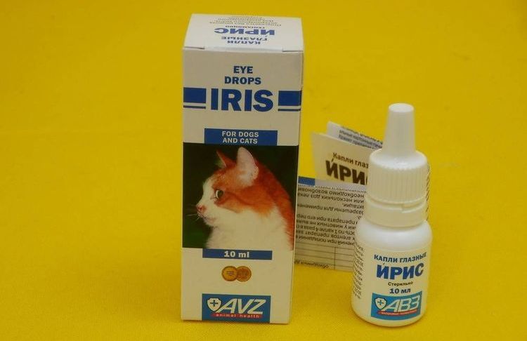 Gotas para gatos Iris
