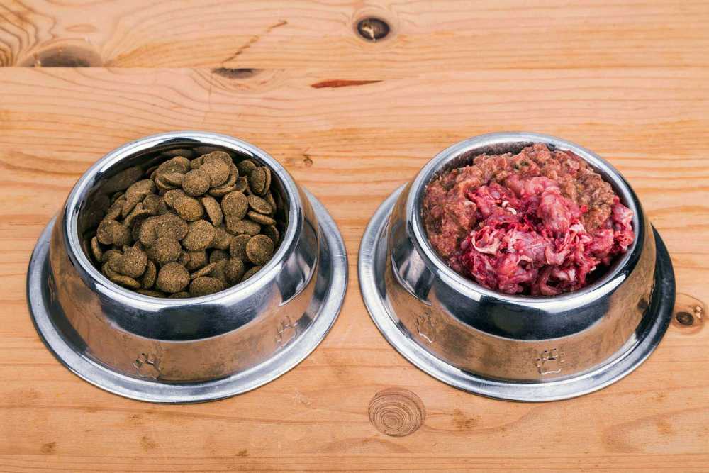 Hundefutter und Fleisch in Näpfen