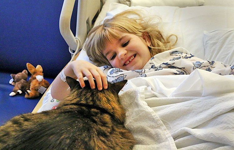 Gata con una niña enferma
