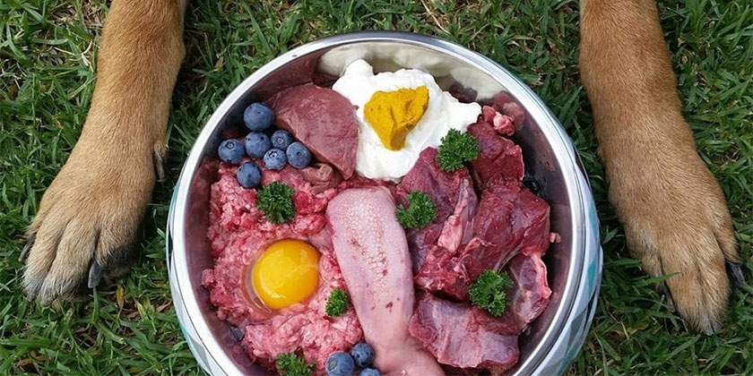 Dieta del perro