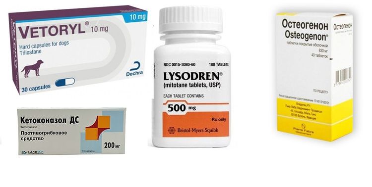 Medicamentos para el tratamiento del síndrome de Cushing en perros