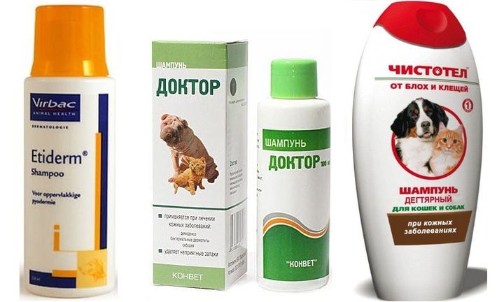 Tratamiento de la acantosis nigricans en perros