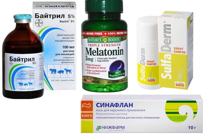 Tratamiento de la acantosis nigricans en perros