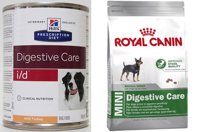 Dieta para el perro con enterocolitis