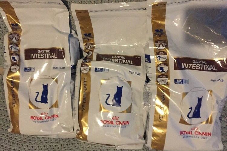Royal Canin Gastro Intestinal Futter für Katzen