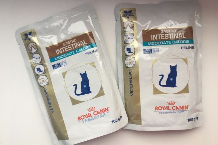 Gastro Intestinal für Katzen