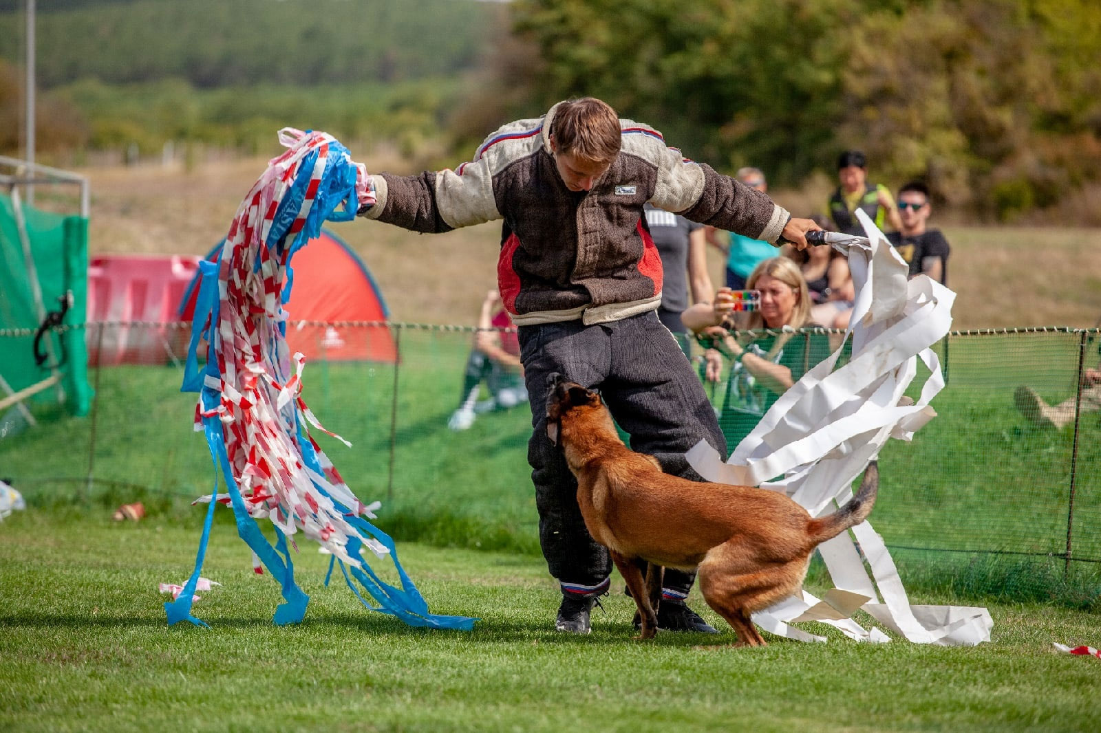 Mondioring para perros, qué es