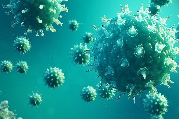 Cómo es el coronavirus