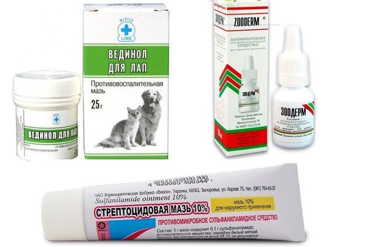 Medicamentos para el tratamiento de la pioderma