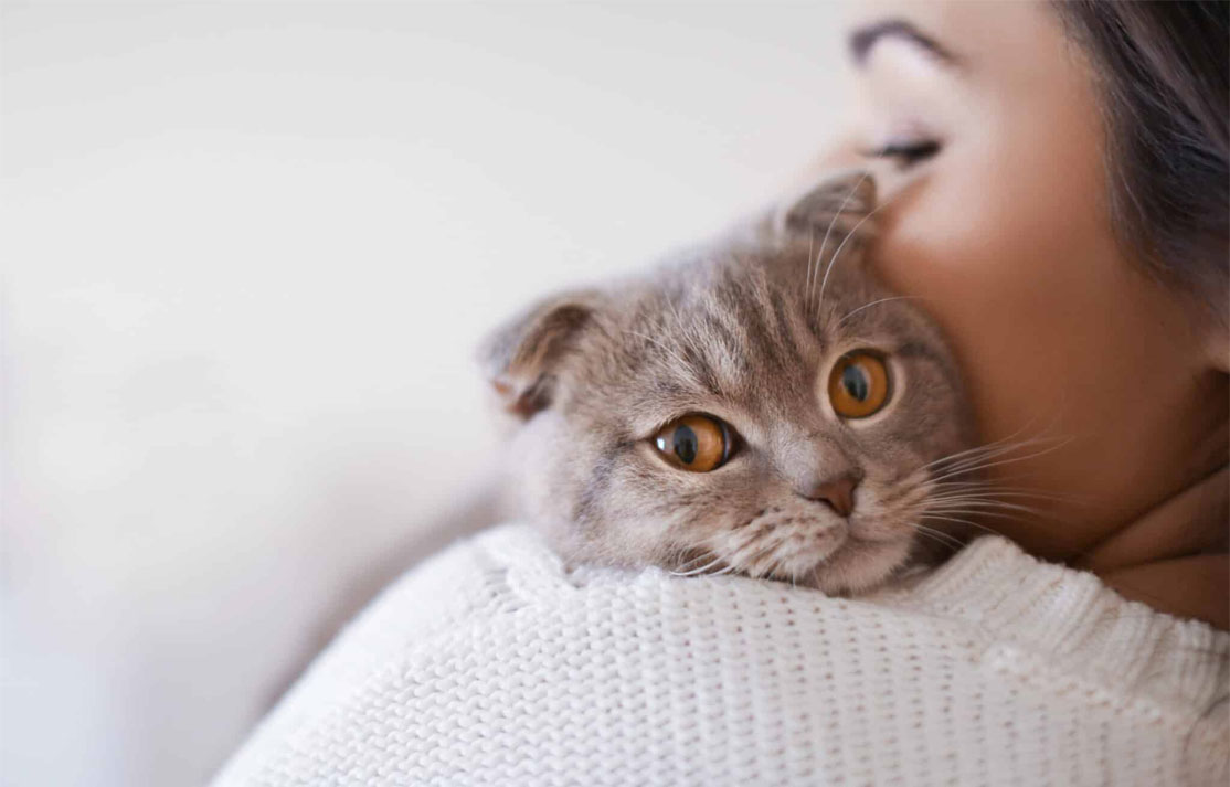 Cómo muestran afecto los gatos